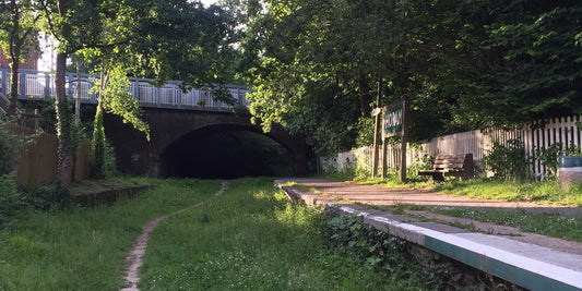 Couch To Triathlon (8)