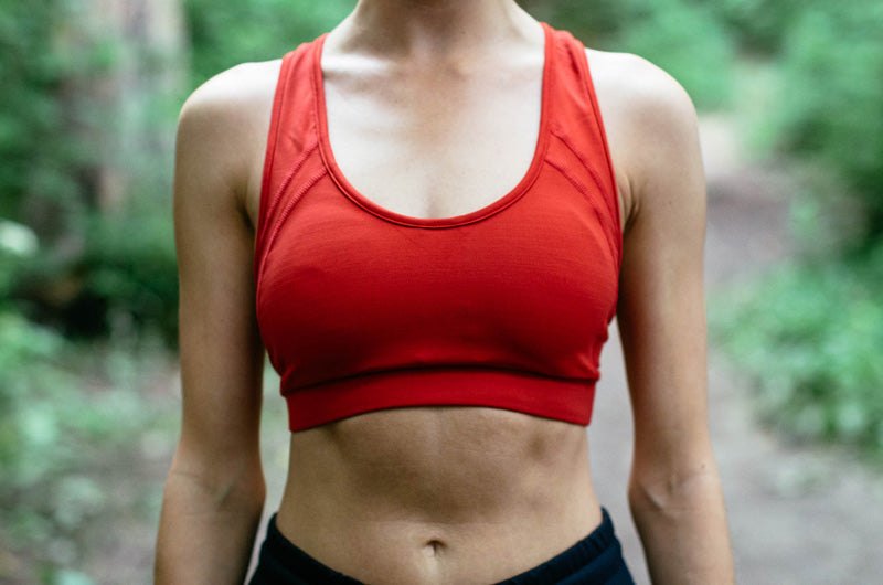 Sundried Breithorn Bra