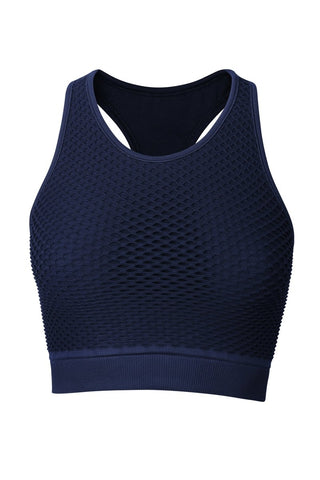 Sundried sports bra crop top sportswear