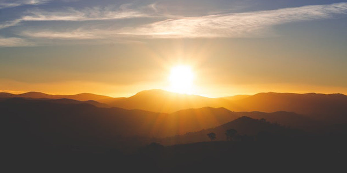 sunshine vitamin D health supplements