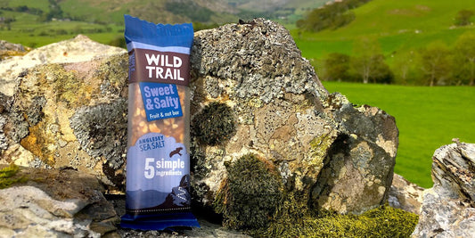 Wild Trail Natural Energy Snack Bars Review Sundried Activewear