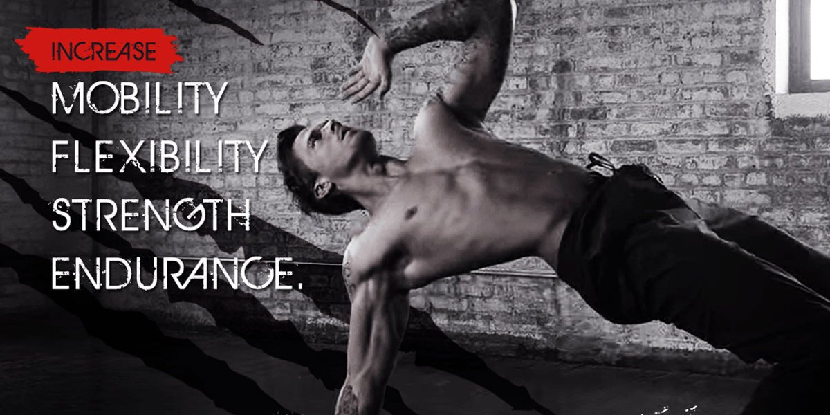 What Is Animal Flow Training?