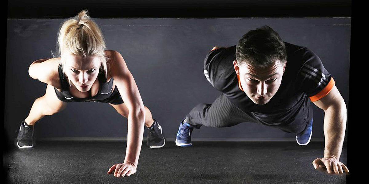 Mesomorph Workout - Sundried