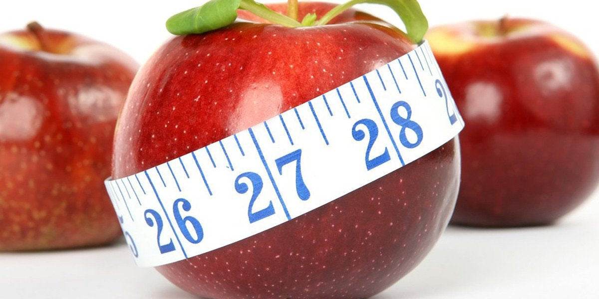 The Zone Diet: Fad or Functional?