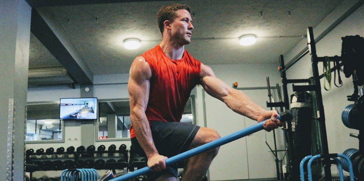 Bodyweight vs freeweights training