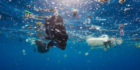 How Bad Is The Global Plastic Pollution Problem And What Can We Do About It?