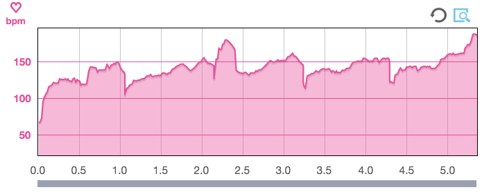 Heart Rate Data from the Epson Runsense SF-810