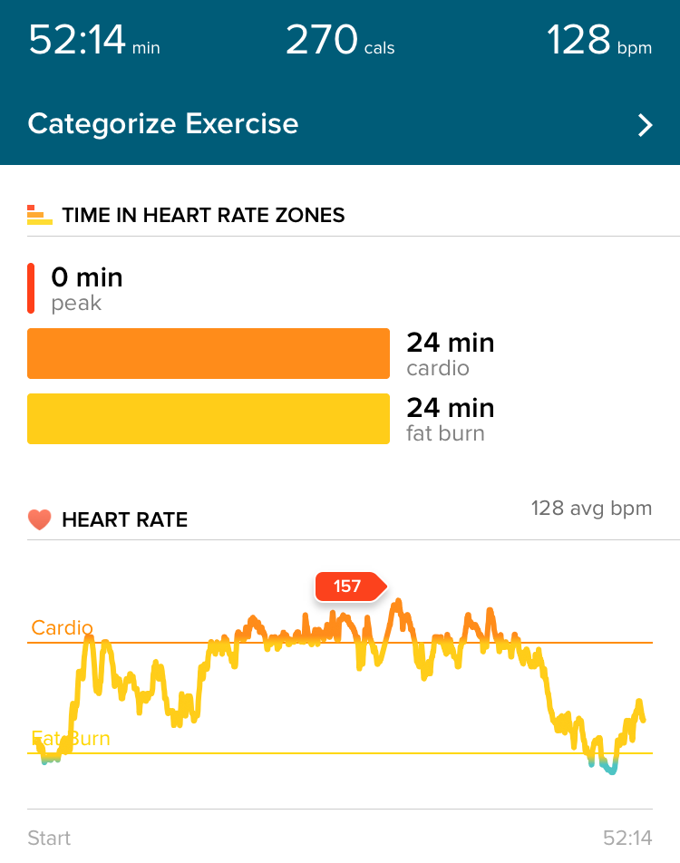 Fitbit Workout Summary