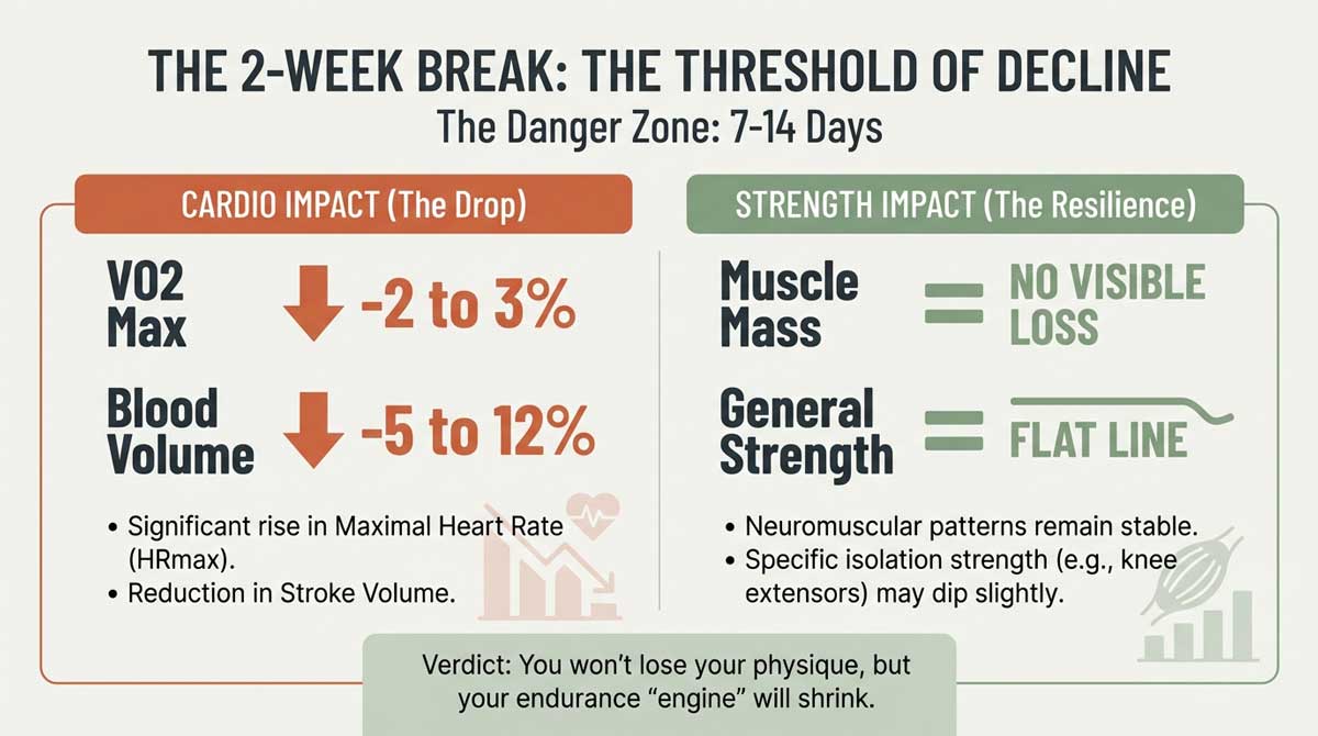 The 2-Week Break: The threshold of decline for VO2 max and strength