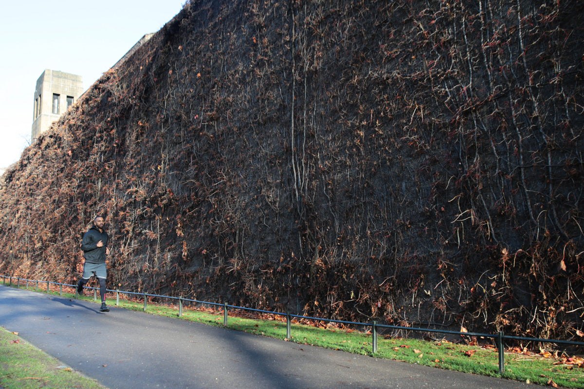 Shea Jozana Park Run