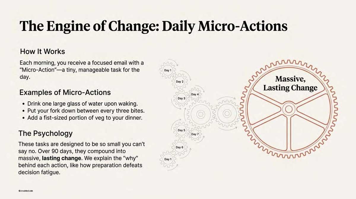 Timeline of daily micro-actions compounding into massive change over 7 days
