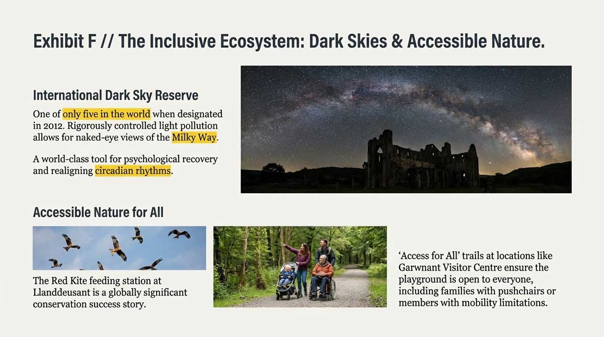 Night sky over ruins and an accessible path for families