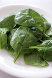 Baby Spinach