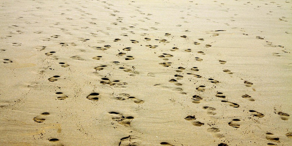 Changing to a barefoot running style Sundried