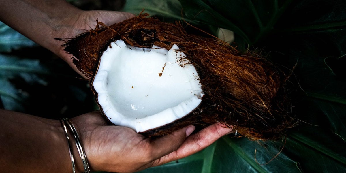 coconut water healthy nutrients fitness