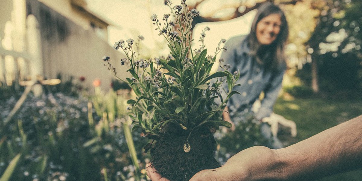 gardening fitness workout