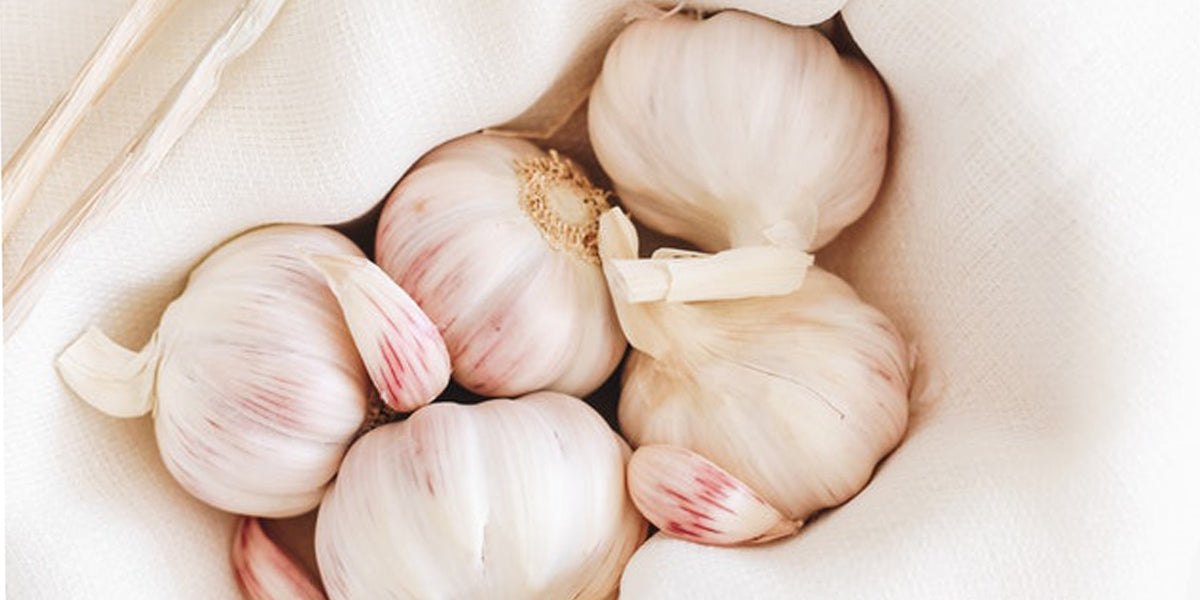 garlic superfood healthy fitness