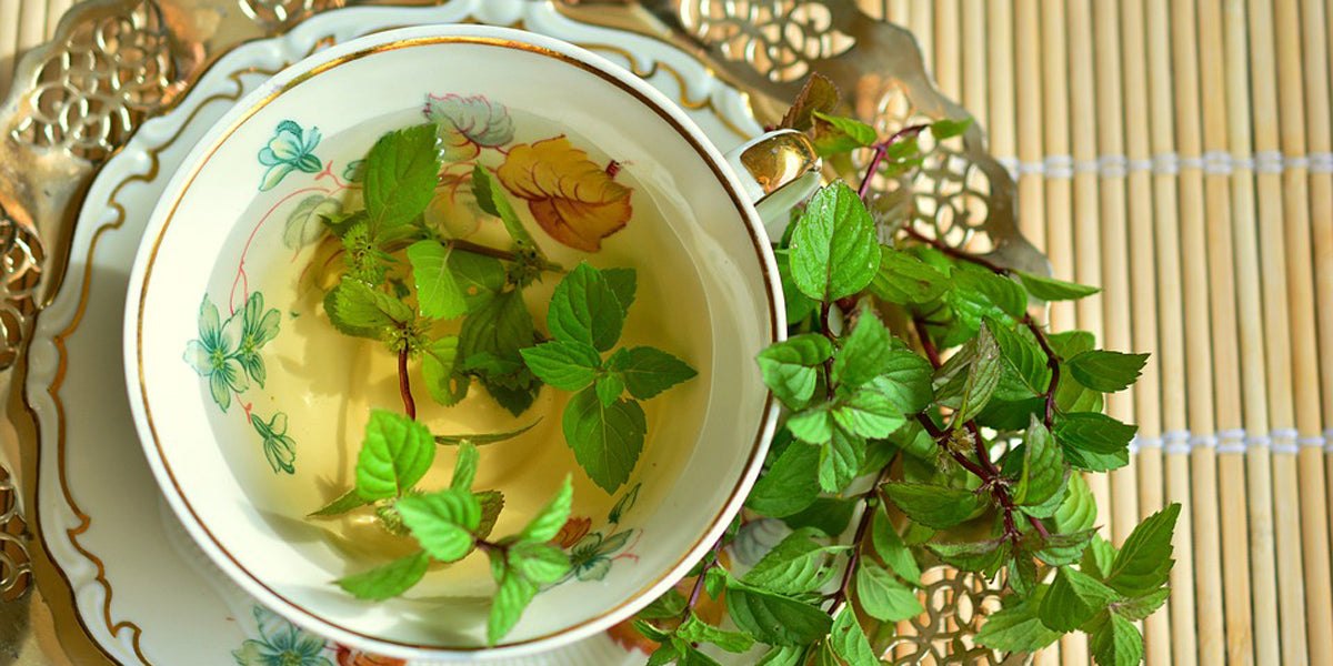 green tea healthy nutrition
