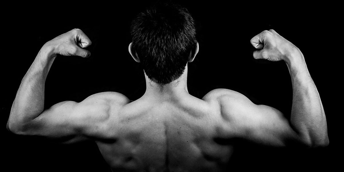 muscles back strength