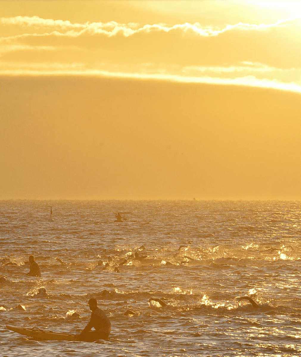 Ironman Triathlon Race Swimming 