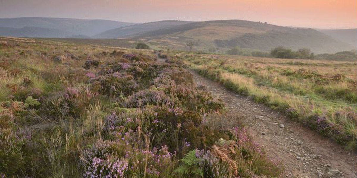 The Quantock Hills running destination