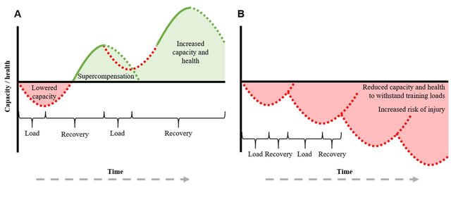 training recovery science research