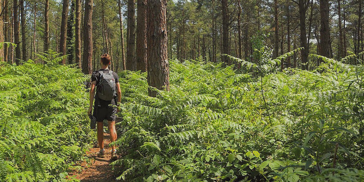 New Forest Adventure Running Trekking Hiking